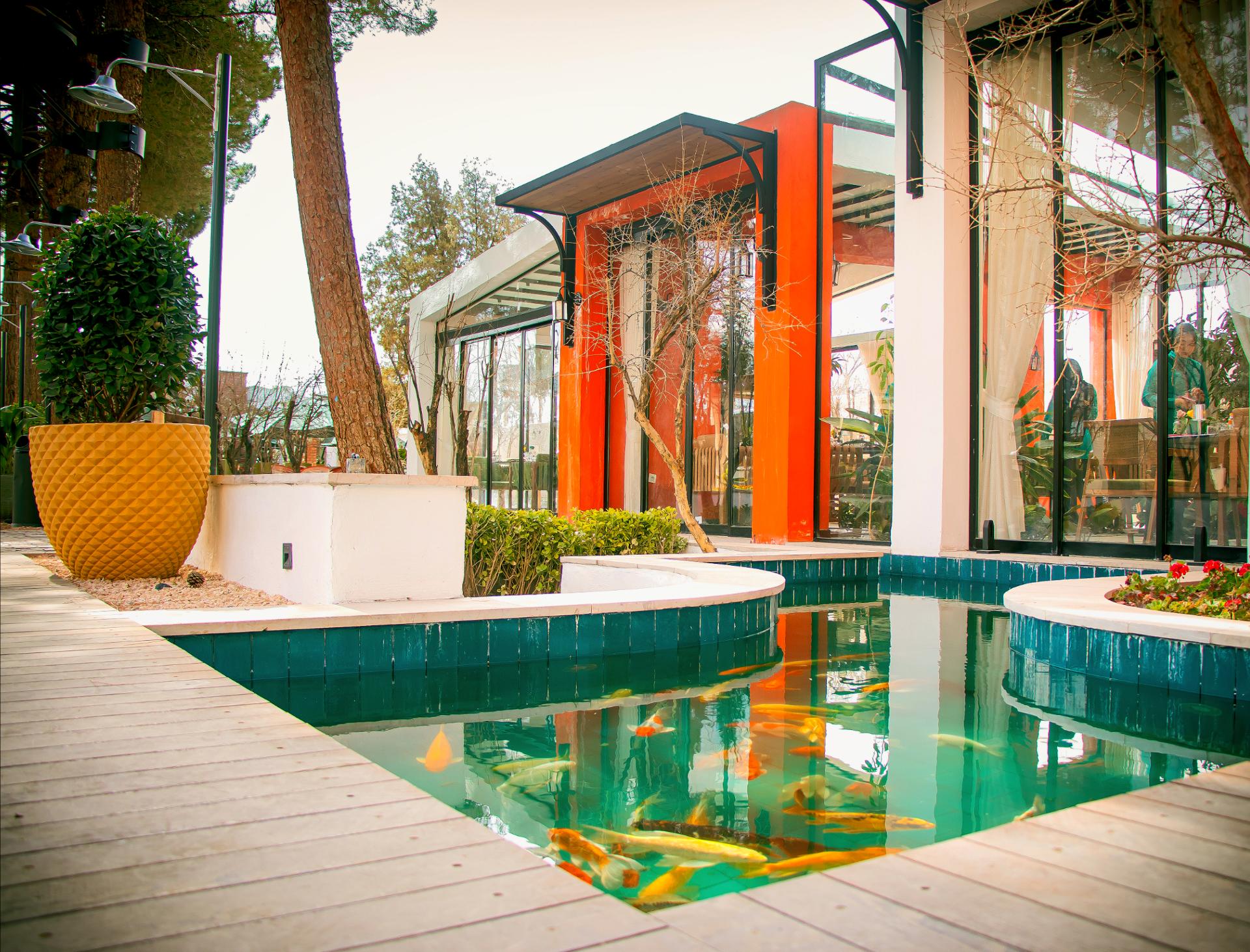 alt="رستورانها و کافهروبازهای کرمان با فضای باز و دلنشین در میان طبیعت"